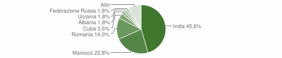 Grafico cittadinanza stranieri - Jelsi 2009