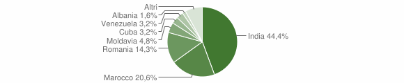 Grafico cittadinanza stranieri - Jelsi 2010