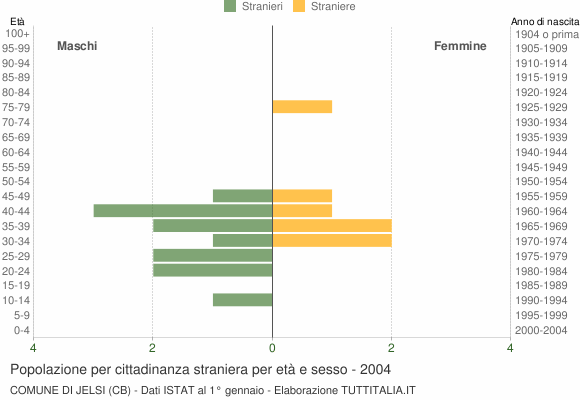 Grafico cittadini stranieri - Jelsi 2004
