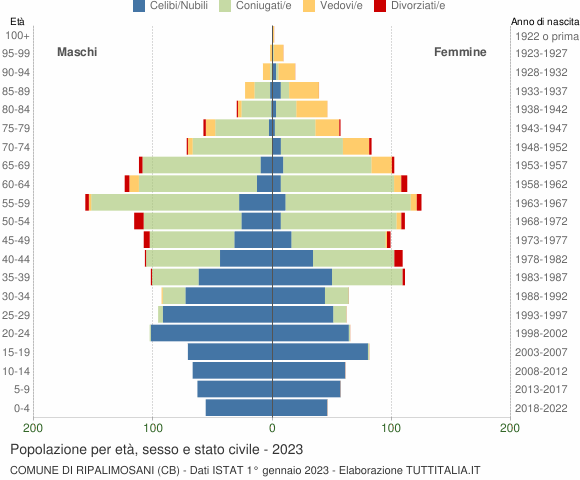 Grafico Popolazione per età, sesso e stato civile Comune di Ripalimosani (CB)