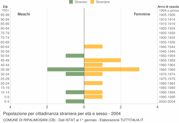 Grafico cittadini stranieri - Ripalimosani 2004
