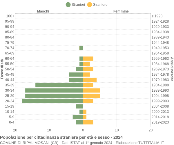 Grafico cittadini stranieri - Ripalimosani 2024