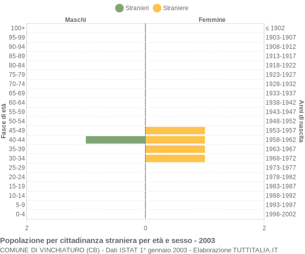 Grafico cittadini stranieri - Vinchiaturo 2003