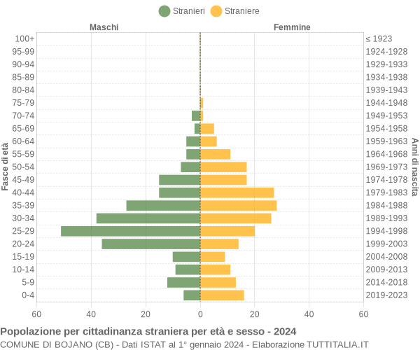 Grafico cittadini stranieri - Bojano 2024