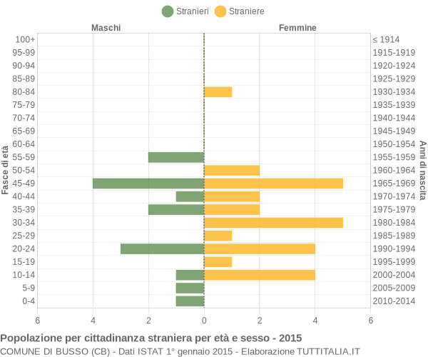 Grafico cittadini stranieri - Busso 2015