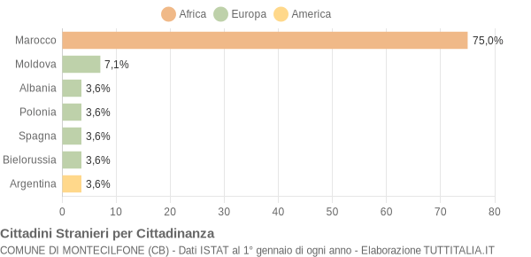 Grafico cittadinanza stranieri - Montecilfone 2007