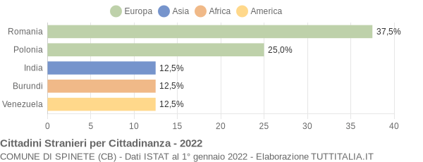 Grafico cittadinanza stranieri - Spinete 2022