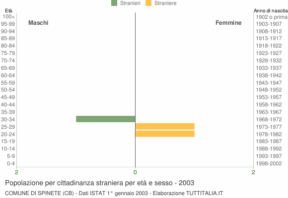 Grafico cittadini stranieri - Spinete 2003