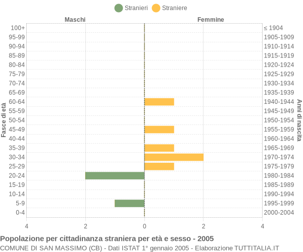 Grafico cittadini stranieri - San Massimo 2005