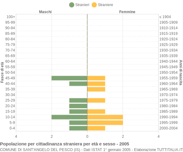 Grafico cittadini stranieri - Sant'Angelo del Pesco 2005