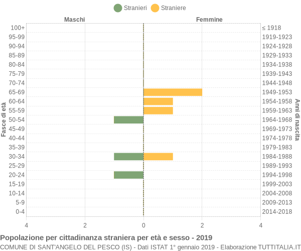 Grafico cittadini stranieri - Sant'Angelo del Pesco 2019