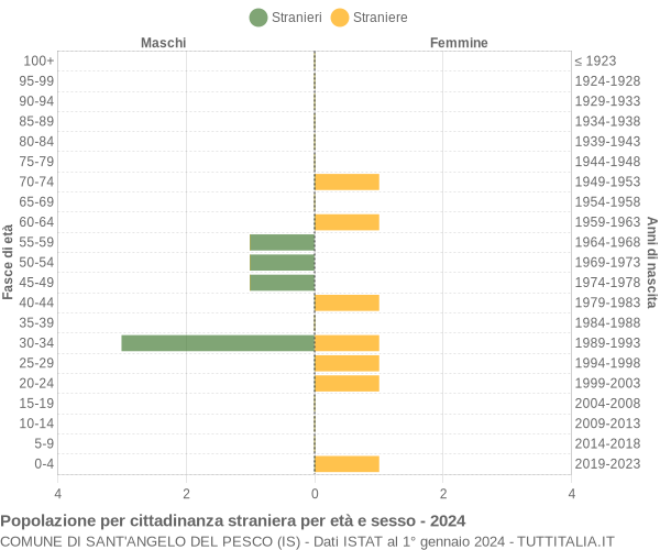 Grafico cittadini stranieri - Sant'Angelo del Pesco 2024