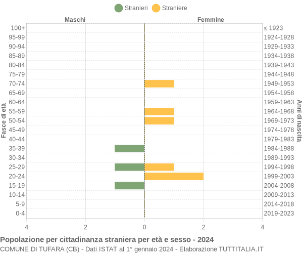 Grafico cittadini stranieri - Tufara 2024