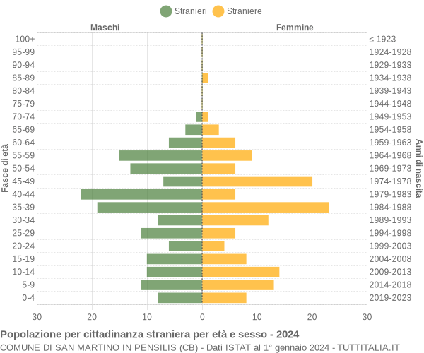 Grafico cittadini stranieri - San Martino in Pensilis 2024