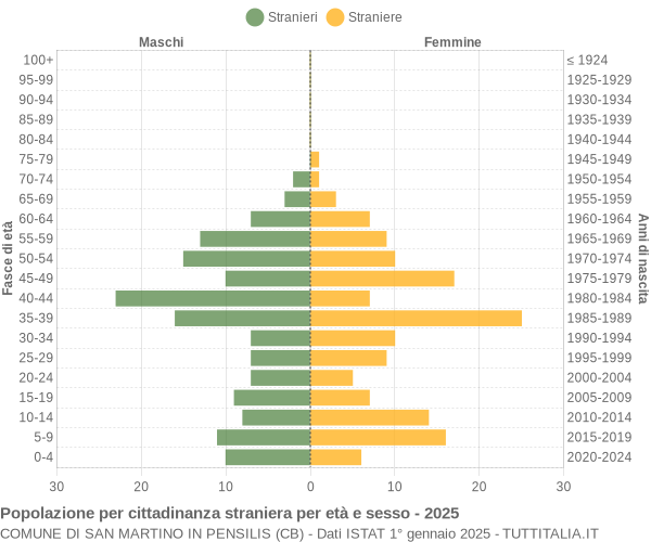 Grafico cittadini stranieri - San Martino in Pensilis 2025