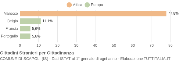 Grafico cittadinanza stranieri - Scapoli 2004