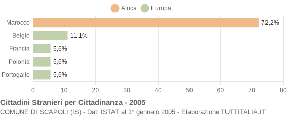 Grafico cittadinanza stranieri - Scapoli 2005