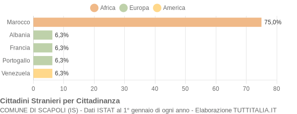 Grafico cittadinanza stranieri - Scapoli 2008