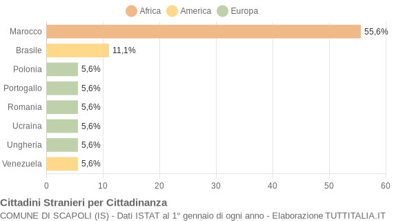 Grafico cittadinanza stranieri - Scapoli 2009