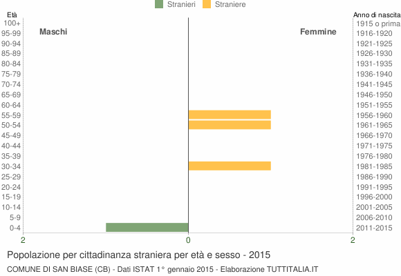 Grafico cittadini stranieri - San Biase 2015