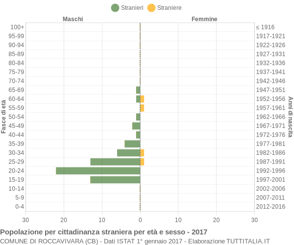 Grafico cittadini stranieri - Roccavivara 2017