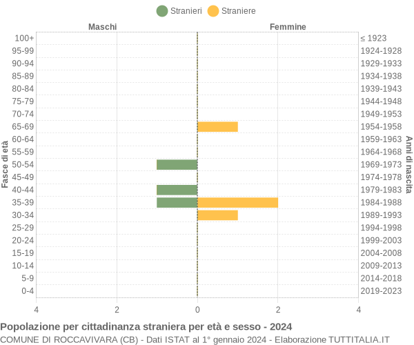 Grafico cittadini stranieri - Roccavivara 2024