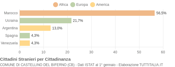 Grafico cittadinanza stranieri - Castellino del Biferno 2008