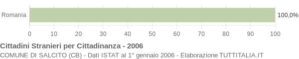 Grafico cittadinanza stranieri - Salcito 2006