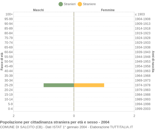 Grafico cittadini stranieri - Salcito 2004