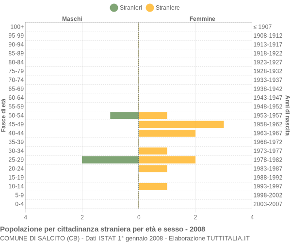 Grafico cittadini stranieri - Salcito 2008