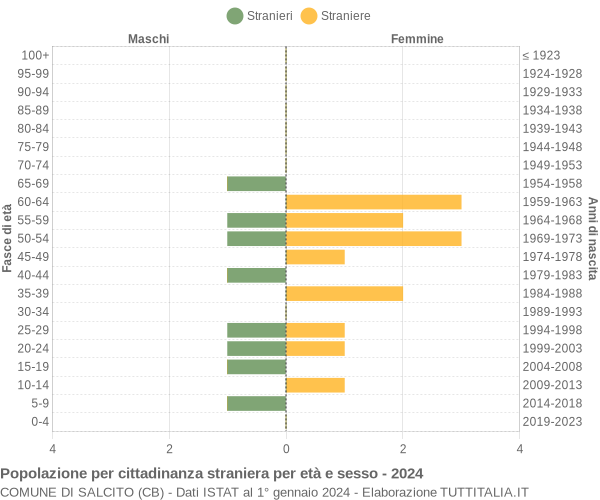 Grafico cittadini stranieri - Salcito 2024