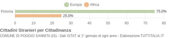 Grafico cittadinanza stranieri - Poggio Sannita 2005