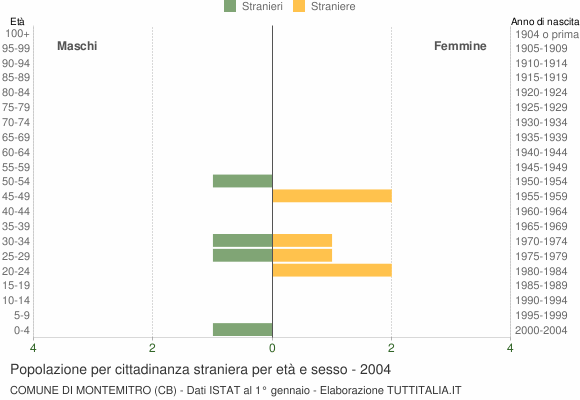Grafico cittadini stranieri - Montemitro 2004