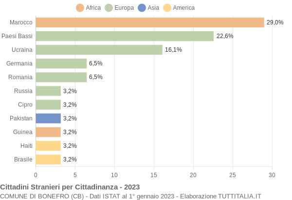 Grafico cittadinanza stranieri - Bonefro 2023