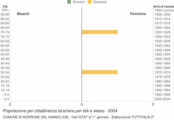 Grafico cittadini stranieri - Morrone del Sannio 2004
