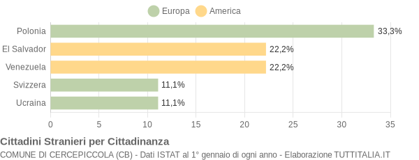 Grafico cittadinanza stranieri - Cercepiccola 2007