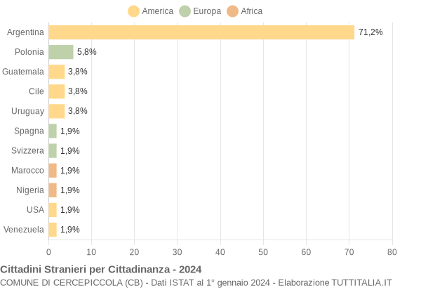 Grafico cittadinanza stranieri - Cercepiccola 2024