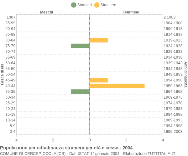 Grafico cittadini stranieri - Cercepiccola 2004