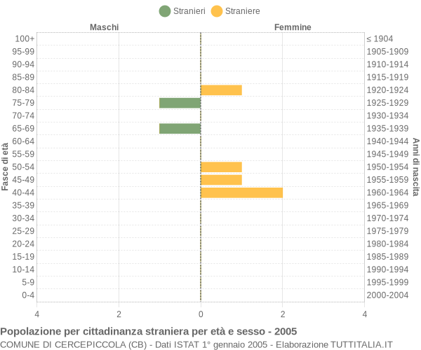 Grafico cittadini stranieri - Cercepiccola 2005