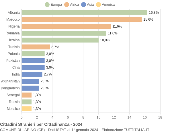 Grafico cittadinanza stranieri - Larino 2024