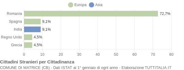 Grafico cittadinanza stranieri - Matrice 2010