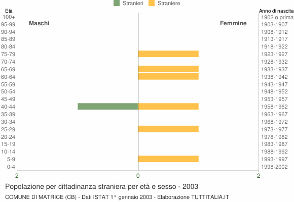 Grafico cittadini stranieri - Matrice 2003