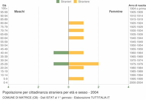 Grafico cittadini stranieri - Matrice 2004