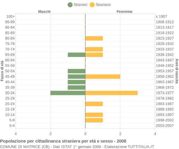 Grafico cittadini stranieri - Matrice 2008
