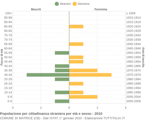 Grafico cittadini stranieri - Matrice 2010