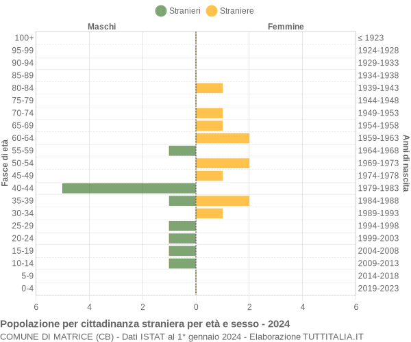 Grafico cittadini stranieri - Matrice 2024