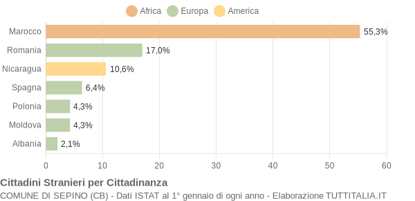 Grafico cittadinanza stranieri - Sepino 2011