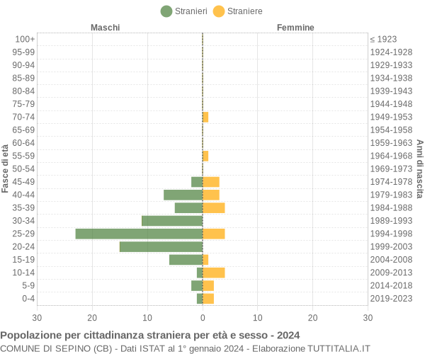 Grafico cittadini stranieri - Sepino 2024