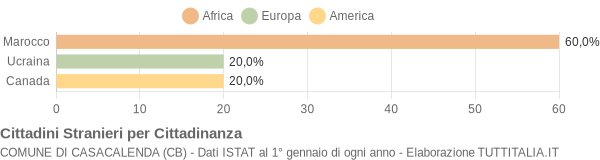 Grafico cittadinanza stranieri - Casacalenda 2004