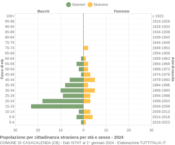 Grafico cittadini stranieri - Casacalenda 2024